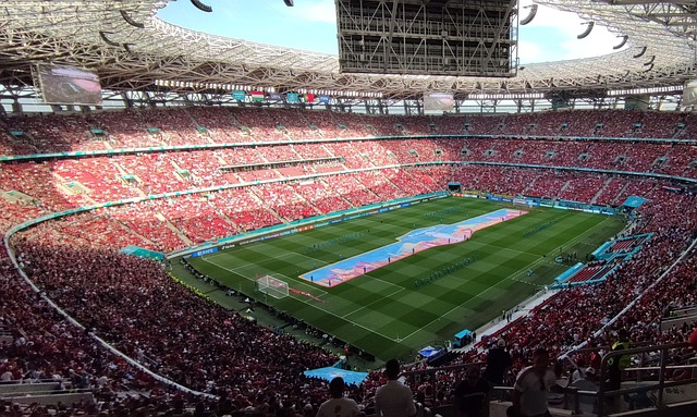 来做出安排 来做出安排