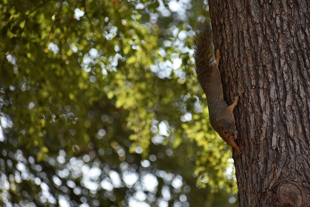 他们不仅能 他们不仅能