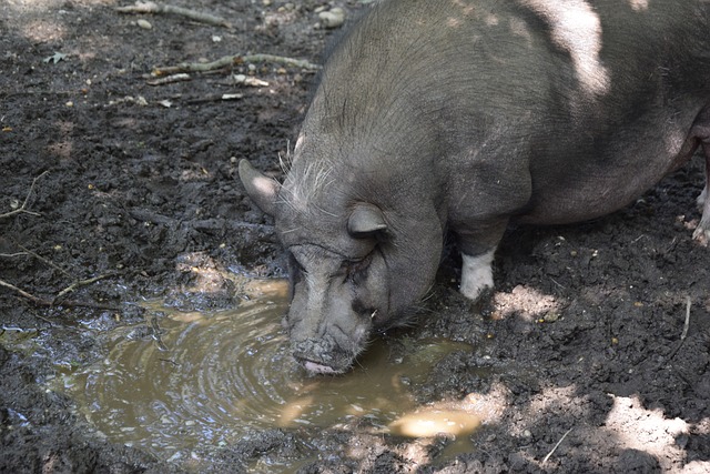 为全队带来 为全队带来