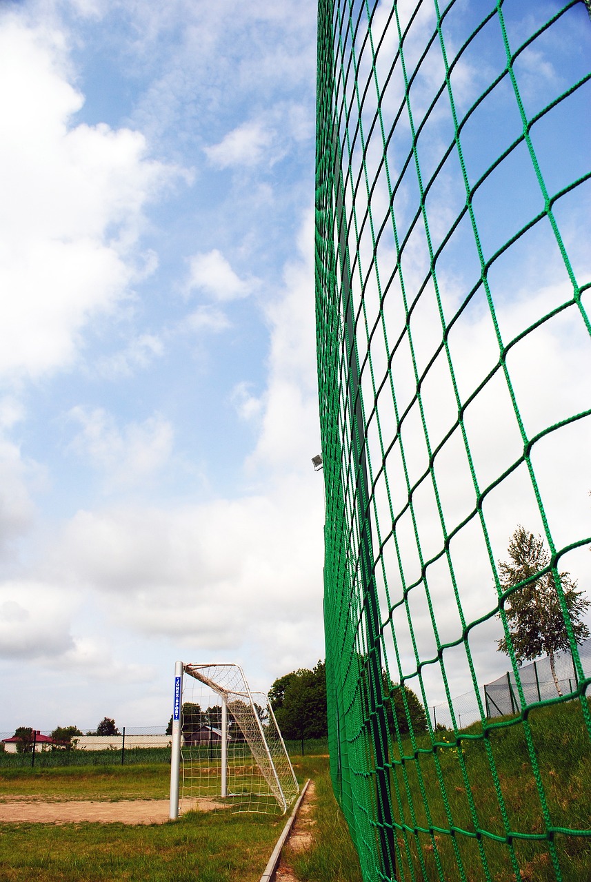 对全球球迷 对全球球迷