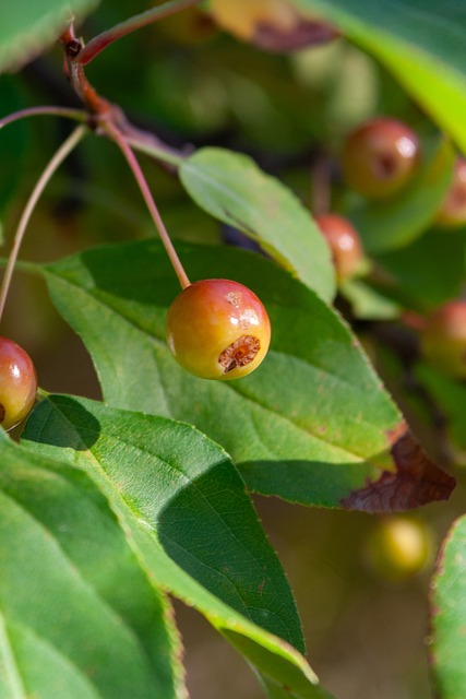 总是充满着 总是充满着