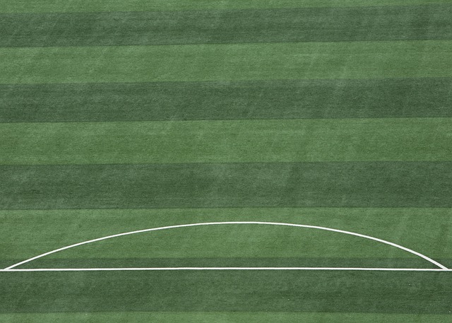 个案分析 个案分析