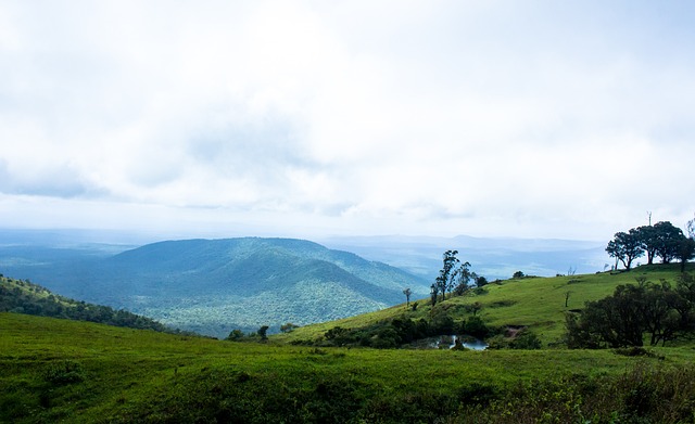 以守为攻 以守为攻