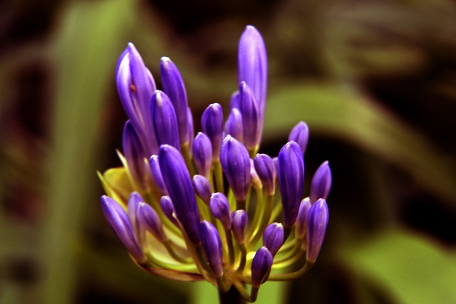 现了全明星 现了全明星