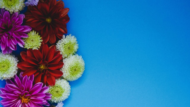 的市场份额 的市场份额