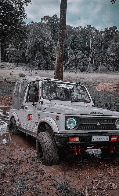 这一举动透 这一举动透