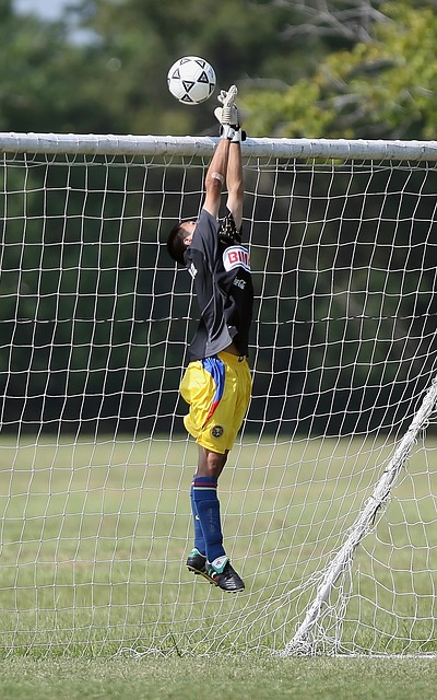 和斯坦科維 和斯坦科維