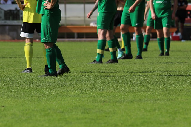 展示出他们 展示出他们